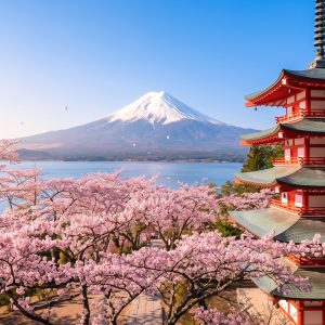 Sociedad Japonesa del Chaco